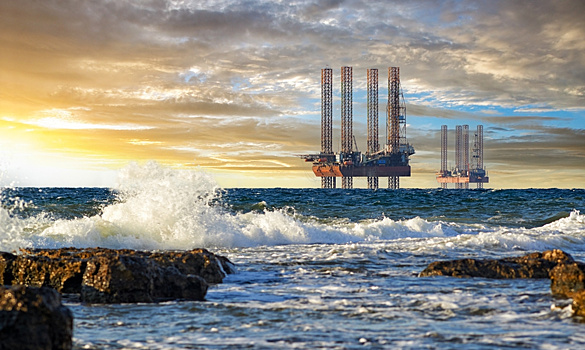 Вместе против мазута. Ученые со всей России спасают Черное море