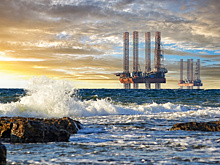 Вместе против мазута. Ученые со всей России спасают Черное море