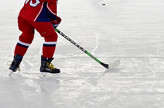 Хоккеисты поселения Кленовское достойно проявили себя в турнире «Золотая шайба»