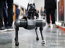 Шесть лет и 130 млрд рублей на конкуренцию с Китаем. Что мешает российским роботам?