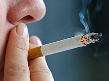 Открыт новый механизм пагубного влияния никотина на мозг