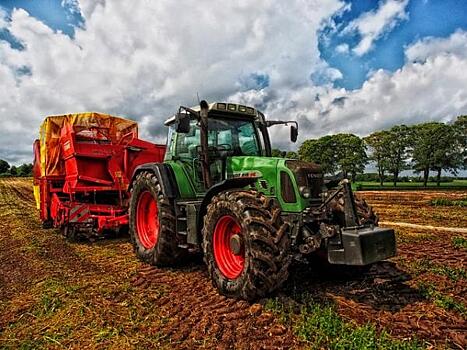 Губернатор Томской области заявил, что размер господдержки фермеров будет зависеть от их работы