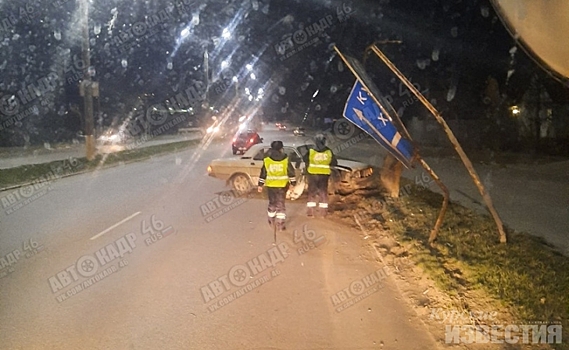 В Курской области «Волга» врезалась в столб