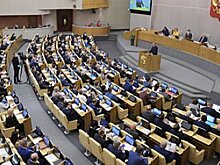 Новое предложение о выплатах в 12 000 рублей семьям рассмотрели в Госдуме