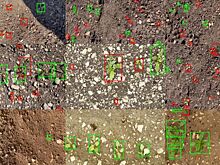 В ДГТУ обучат нейронную модель, которая повысит урожайность