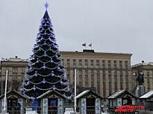 Главная воронежская елка официально признана самой высокой в России