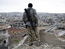 Провинцию Алеппо полностью освободили от ИГ