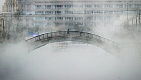 «Сибирская стужа»: как Москва переживает сильнейшие за 40 лет морозы