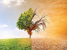 Последствия глобального потепления смоделируют