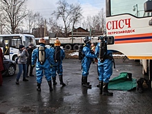 В Карелии прокомментировали слухи о биологической диверсии