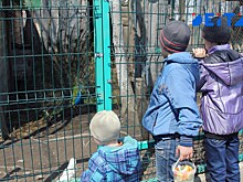 Увеличить маткапитал для некоторых регионов предложили в Госдуме