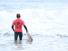 В Калининграде завершился чемпионат по сёрфингу Bulli Surf Cup