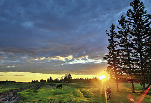 Этот день в календаре. 31 мая