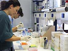 Над туристами из России в Тбилиси проводят страшные опыты