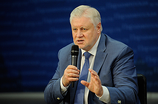 Миронов раскритиковал правительственный проект бюджета