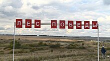 В Заре появится Лес Победы из 20 000 сосен