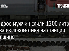 Фото: двое мужчин слили 1200 литров топлива из локомотива на станции Антропшино