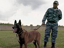 Специалисты-кинологи ЦКО МВД России провели тестирование служебных собак луганской полиции