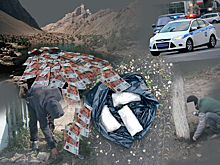 От Морфиуса до Спрута, или История одного многотомного дела