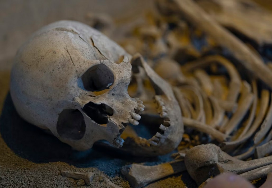 В геноме человека обнаружили призраков