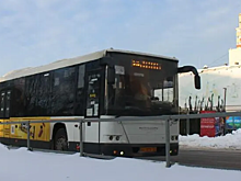 В г.о. Пушкинский автобусы для пассажиров начали чаще дезинфицировать из-за всплеска ОРВИ и гриппа