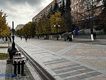 На улице Московской в Пензе снесут самовольную постройку