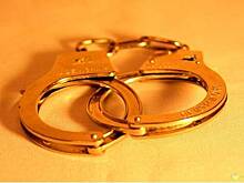 Приговор Селезневу стал самым длительным в США за киберпреступления