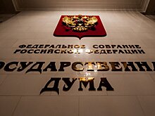 В Госдуме пока не прорабатывается вопрос о повышении возраста молодежи с 35 до 38 лет