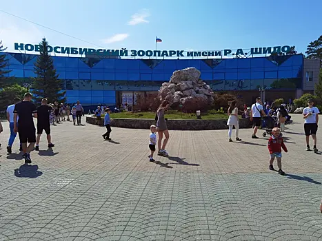 В Новосибирском зоопарке появятся комплексы «Кошкин дом» и «Северный полюс»