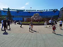 В Новосибирском зоопарке появятся комплексы «Кошкин дом» и «Северный полюс»