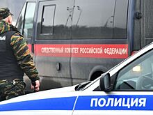 СК возбудил уголовное дело после заражения сибирской язвой жителей Чувашии