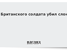 Солдата Великобритании убил слон