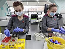 Медицинским лабораториям не хватает персонала. Зарплаты сотрудников стремительно растут