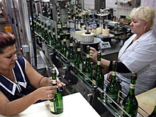 В РФ импортные вина удастся заместить не ранее чем через пять лет