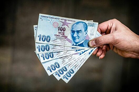 Эксперт рассказал о возможных условиях приобретения Россией турецкой лиры