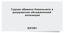 Гудков обвинил Навального в разрушении объединенной оппозиции