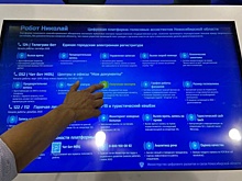 Робот Николай позвонит жителям Новосибирской области и напомнит о выплатах