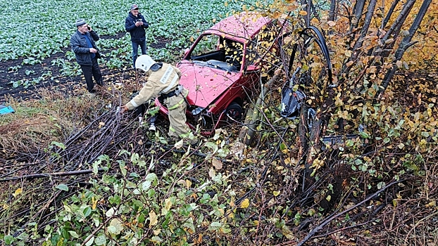 В Курской области ВАЗ вылетел в кювет, пострадала женщина-водитель