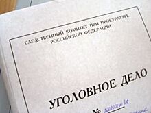 Жителю Ульяновска, уснувшему за рулем, грозит 7 лет за гибель двух человек