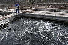 Росприроднадзор подтвердил загрязнение вод Хакасии из-за золотодобытчиков