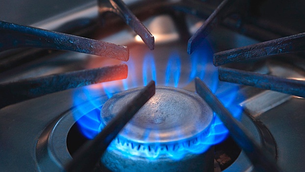 Мать и ее четверо детей отравились угарным газом в Нижнем Новгороде