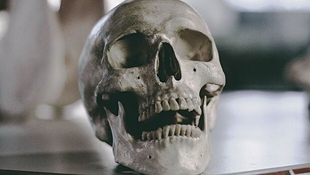 В Бельгии обнаружили стены из человеческих костей