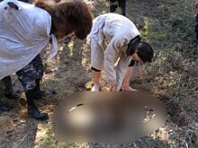 Более сотни ярославцев вступили в неонацистский проект украинского толка