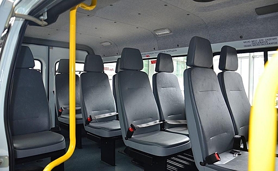 В неадекватном состоянии: ростовчанка пожаловалась на водителя маршрутки