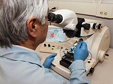 Паразитолог дал оценку здоровью москвичей