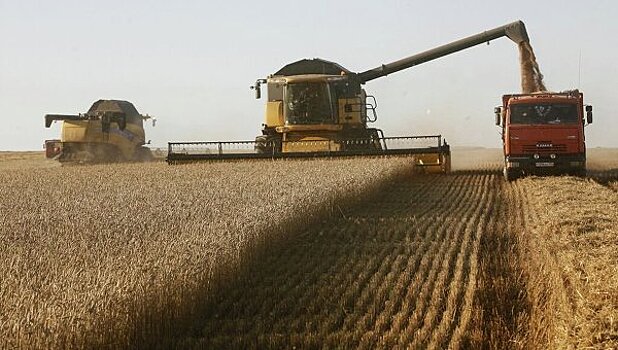 Минсельхоз прогнозирует сбор 100 млн тонн зерна по итогам года