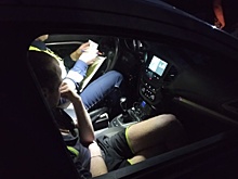 Завершено расследование смертельного наезда иномарки на школьницу с собакой на Среднем Урале