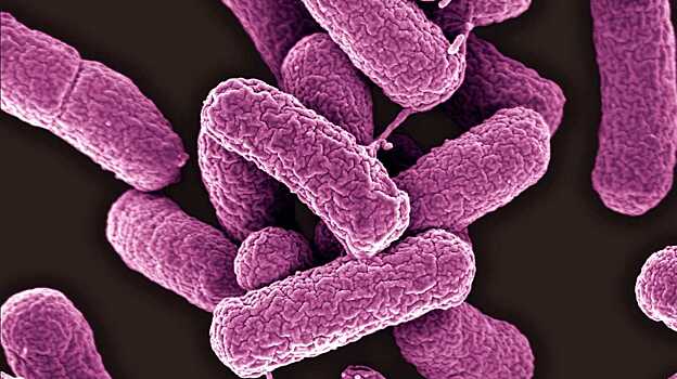 Ученые предупредили об опасности неправильного приема антибиотиков