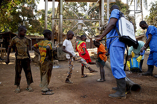 Опасную смертельную лихорадку обнаружили в Гвинее