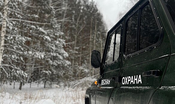 В Северной Осетии полностью восстановили объем деревьев по нацпроекту